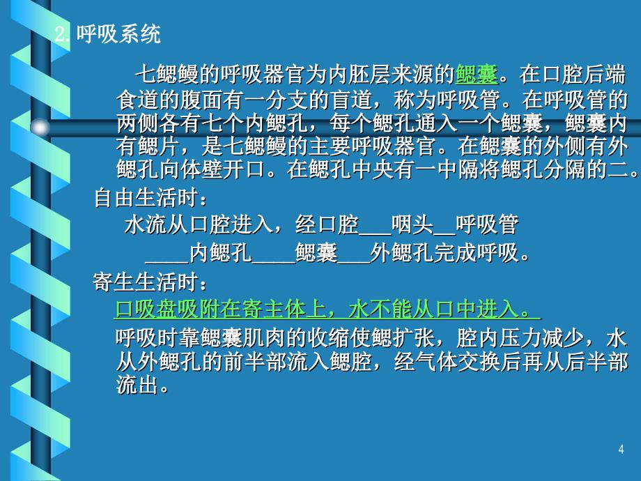 十一章圆口纲和与鱼纲1学时_第4页