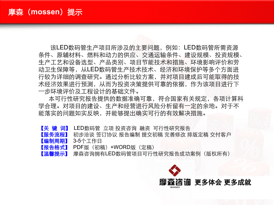 LED数码管项目可行性研究报告_第2页