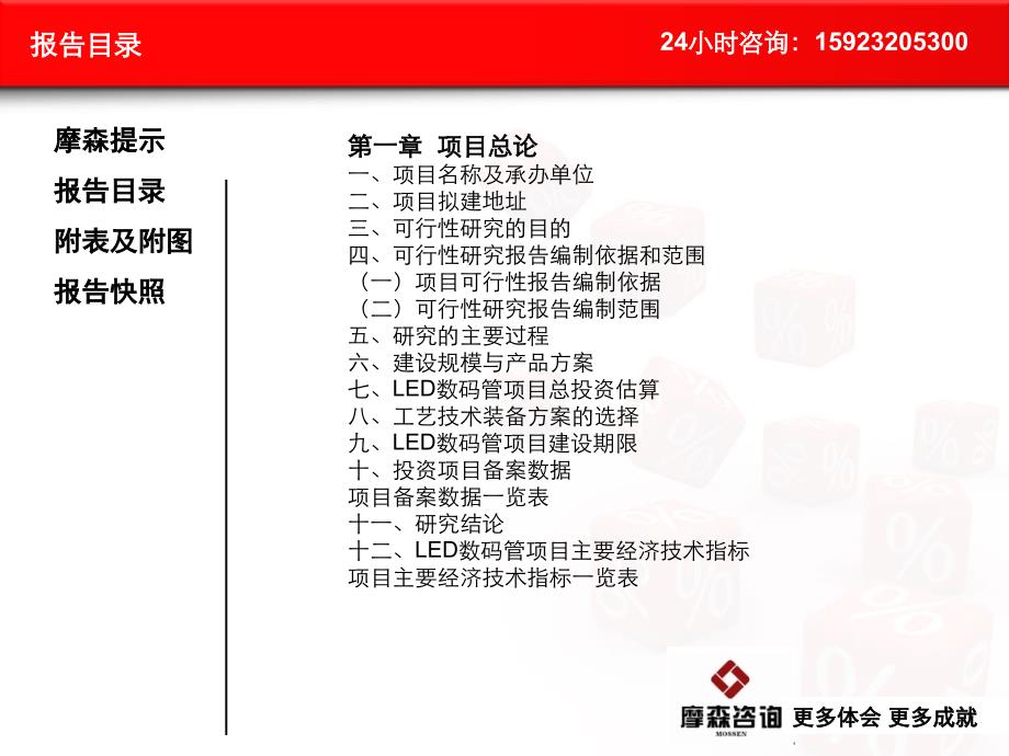 LED数码管项目可行性研究报告_第3页