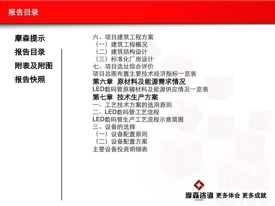 LED数码管项目可行性研究报告_第5页