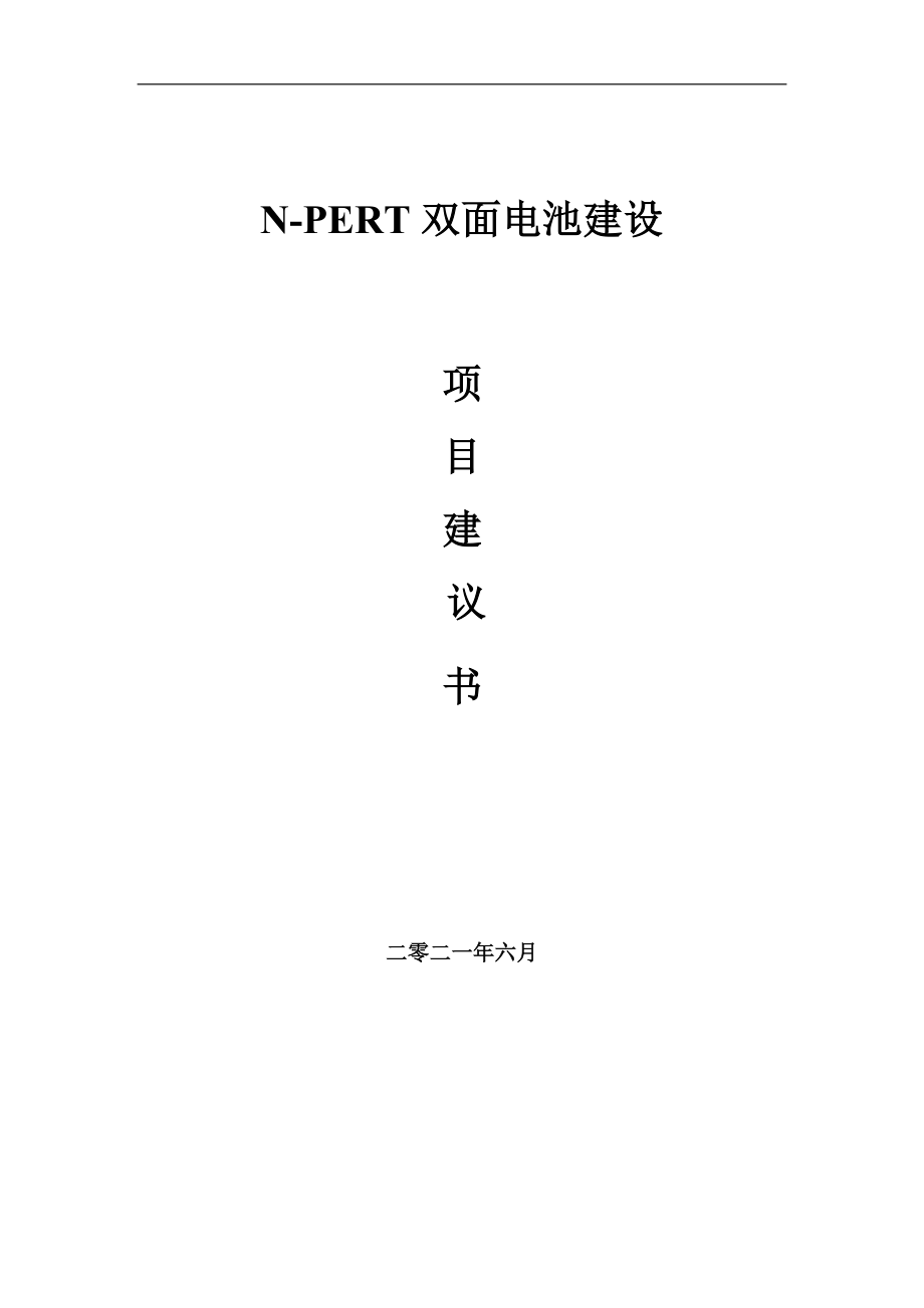 N-PERT双面电池项目建议书写作参考范本_第1页