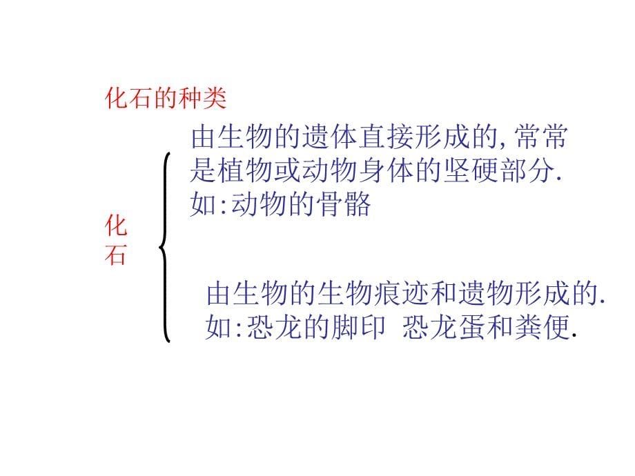 新人教版八年级下册第二节生物进化的历程资料_第5页