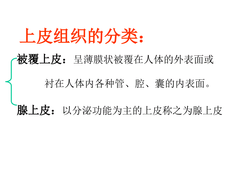 组织胚胎学课件：上皮组织_第3页