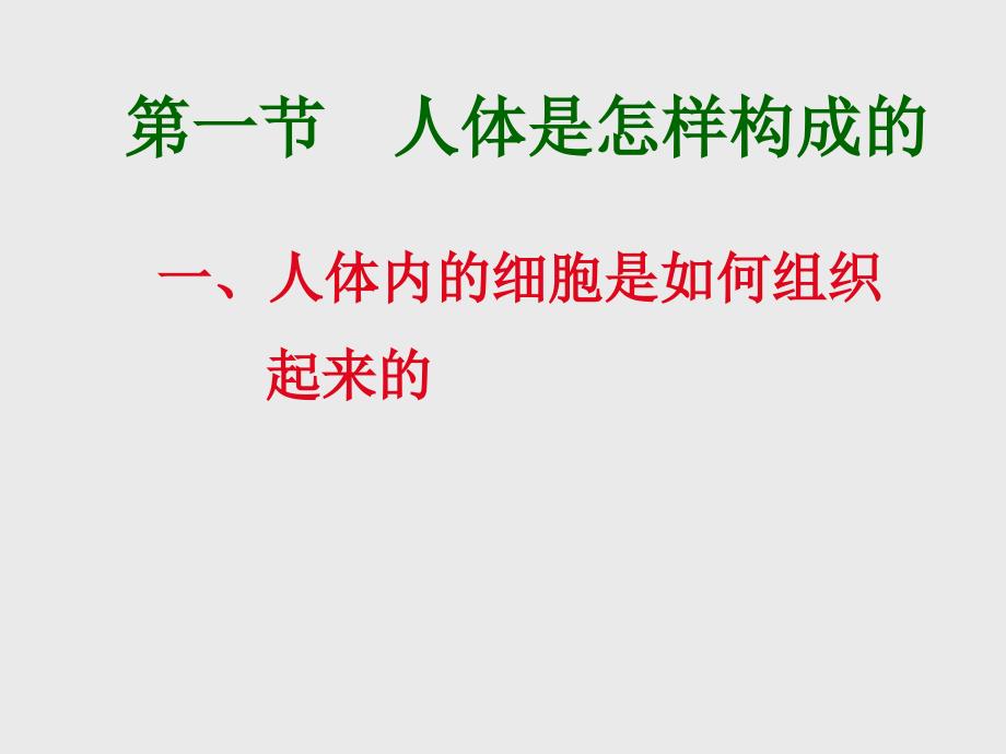 人体的细胞是如何组织起来的PPT课件_第1页