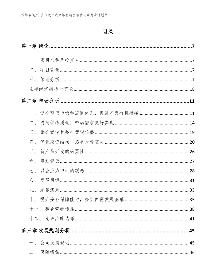 宁乡市关于成立培育新型消费公司商业计划书_第2页