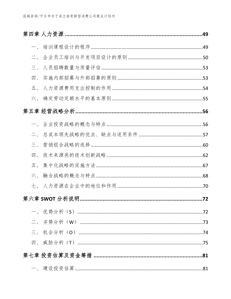 宁乡市关于成立培育新型消费公司商业计划书_第3页