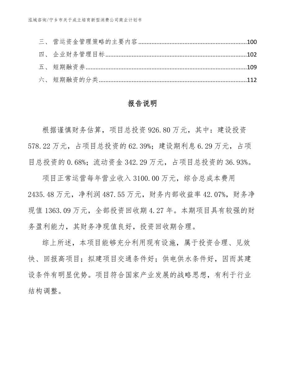 宁乡市关于成立培育新型消费公司商业计划书_第5页