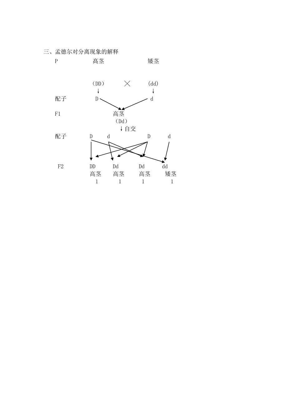 孟德尔一对相对性状的杂交试验_第5页