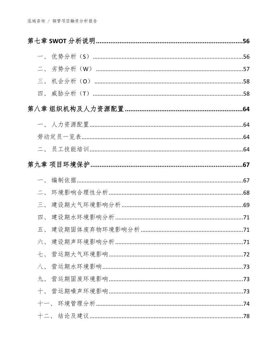 铜管项目融资分析报告_范文模板_第4页
