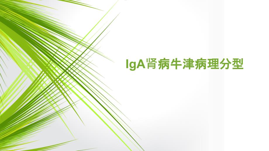 IgA肾病牛津分型_第1页