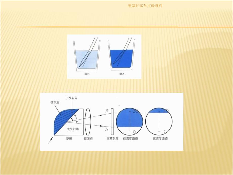 果蔬贮运学实验课件_第4页