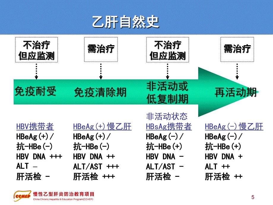 最新版慢性乙型肝炎防治指南解读_第5页