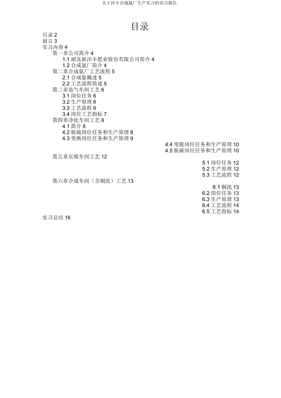 关于洋丰合成氨厂生产实习实习报告.doc_第2页