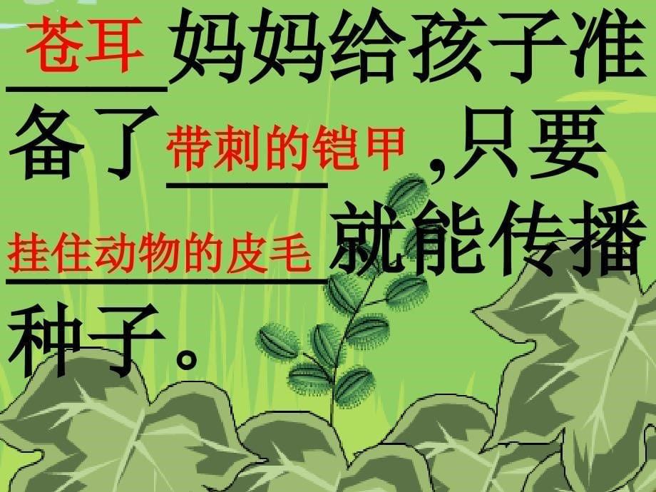 植物妈妈有办法教学课件_第5页