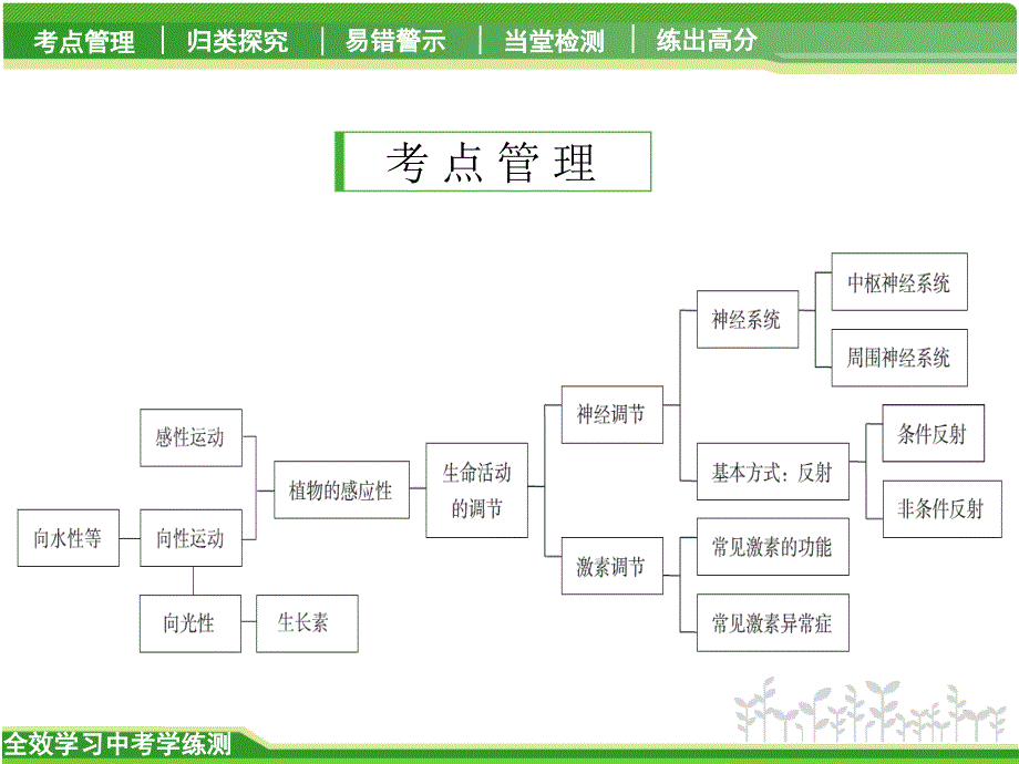 中考科学一轮复习课件生命活动调节_第2页