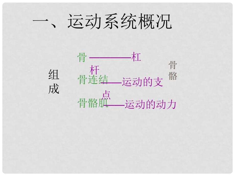 九年级科学下册 3.5《人的运动系统和保健》课件1 （新版）浙教版_第3页