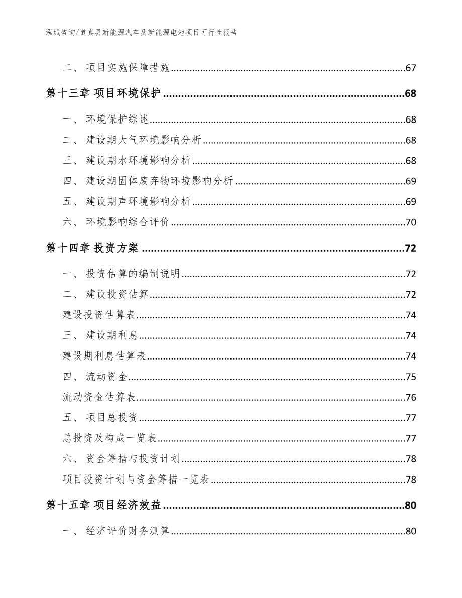 道真县新能源汽车及新能源电池项目可行性报告范文参考_第5页