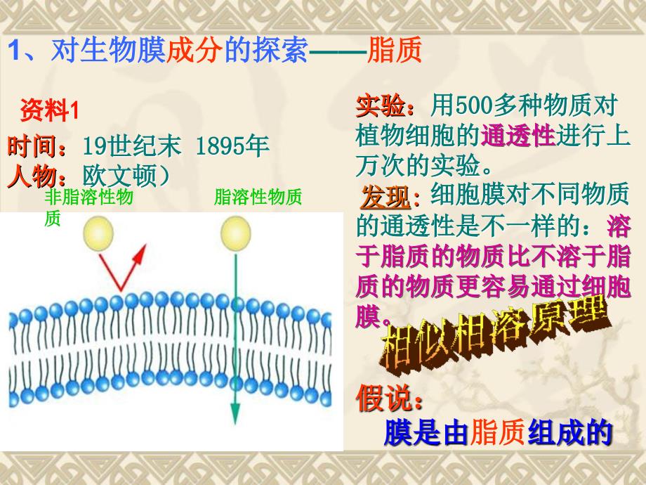 细胞膜流动镶嵌模型_第3页