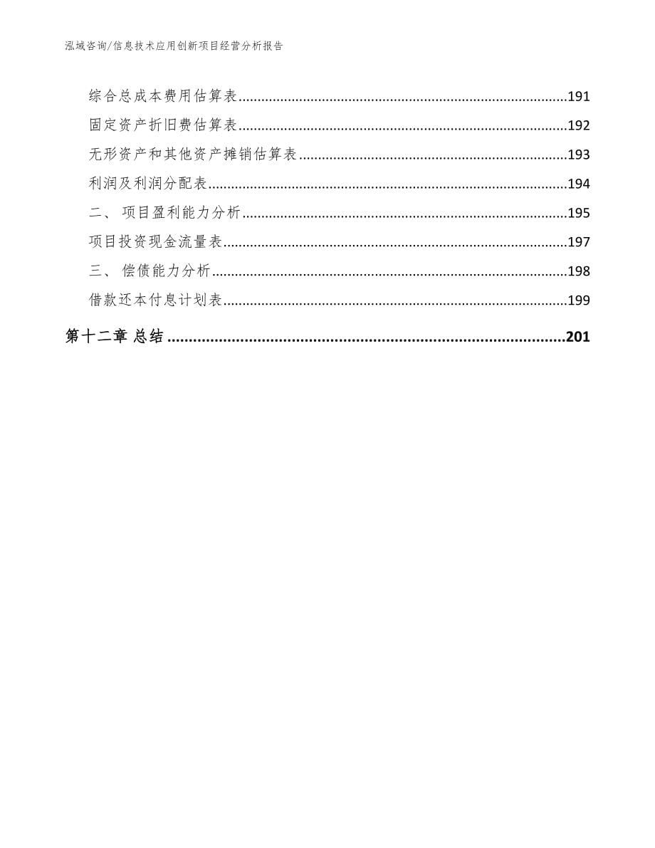 信息技术应用创新项目经营分析报告（参考模板）_第5页