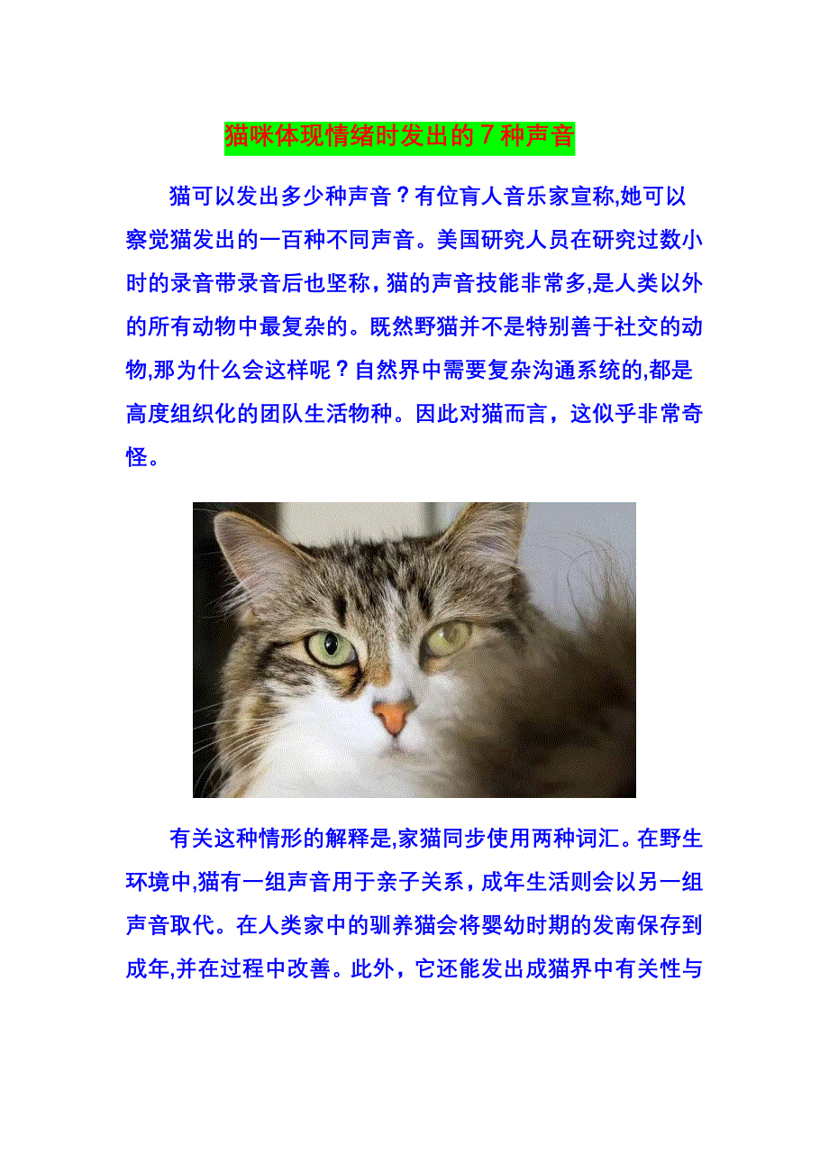 猫咪表达情绪时发出的7种声音_第1页