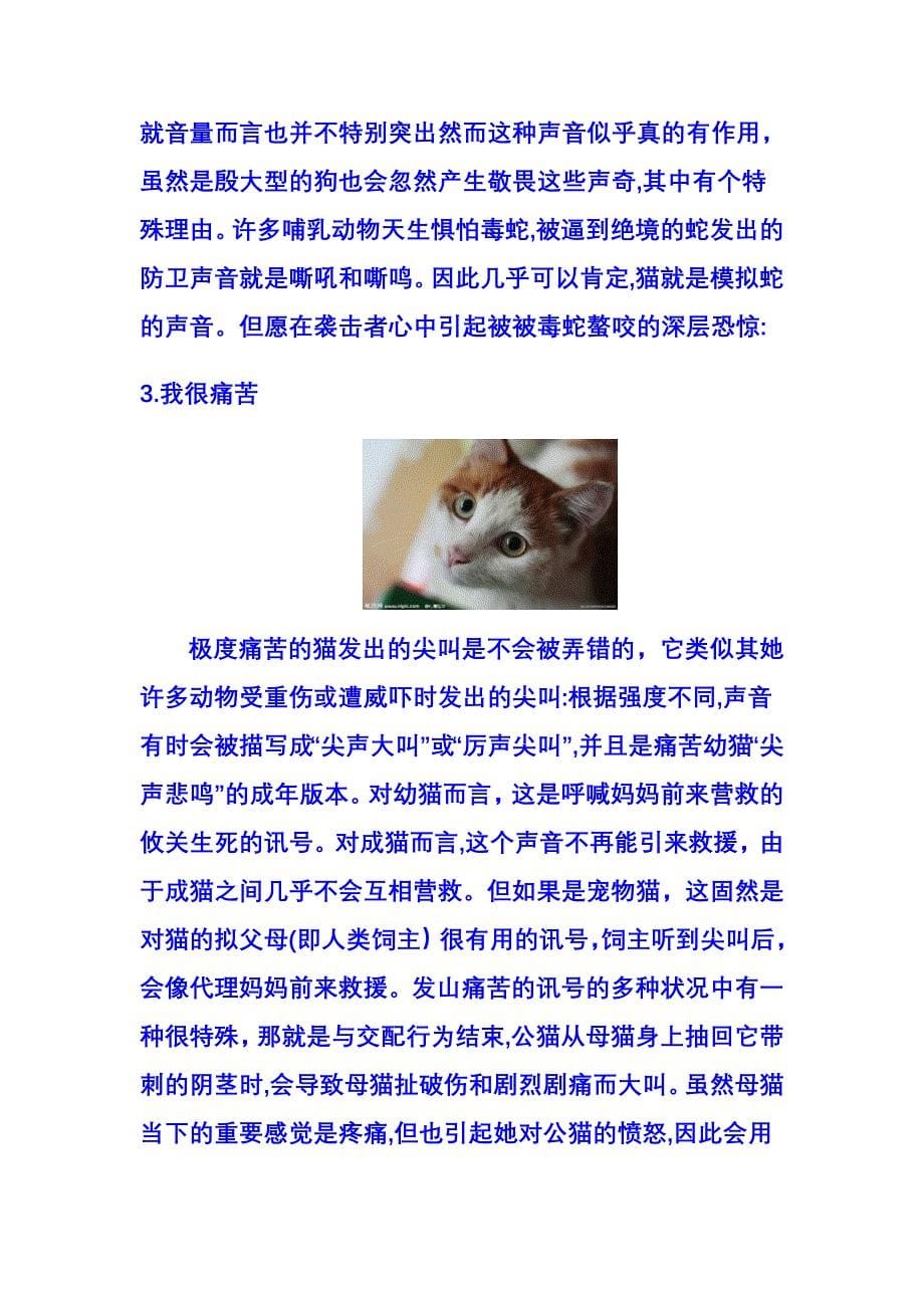 猫咪表达情绪时发出的7种声音_第5页