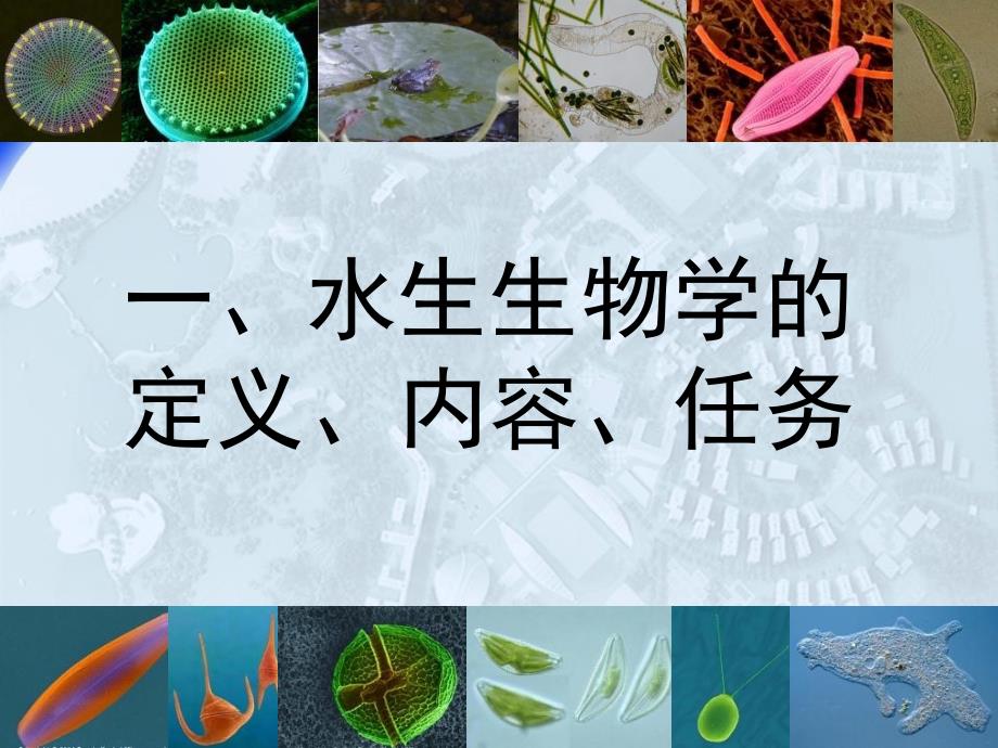 水生生物学绪论HJJ_第4页