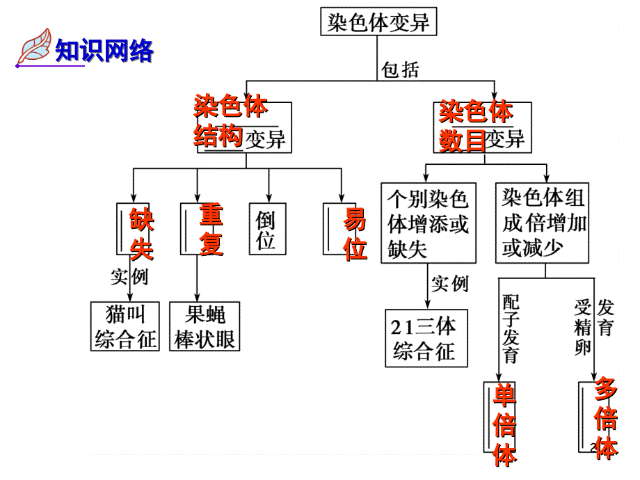 染色体变异一轮复习课堂PPT_第2页