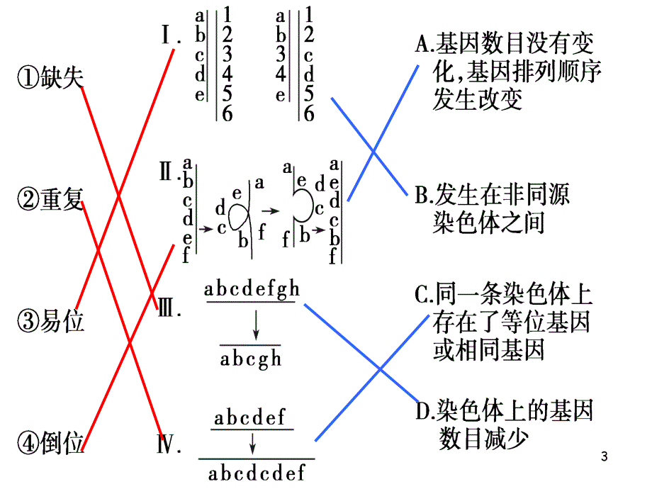 染色体变异一轮复习课堂PPT_第3页