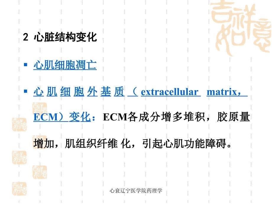 心衰辽宁医学院药理学课件_第5页