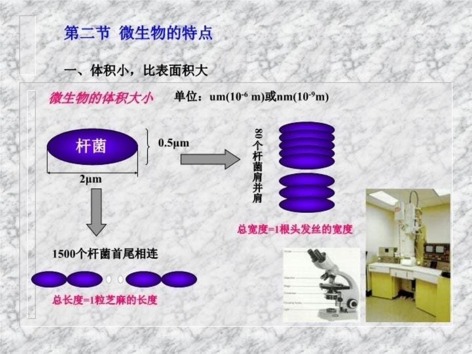 最新微生物学的发展史PPT课件_第5页