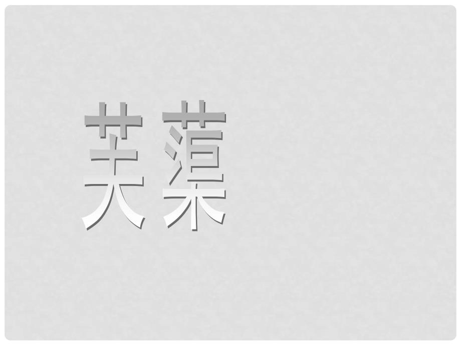 八年级语文下册 《芙蕖》教学课件 北师大版_第3页