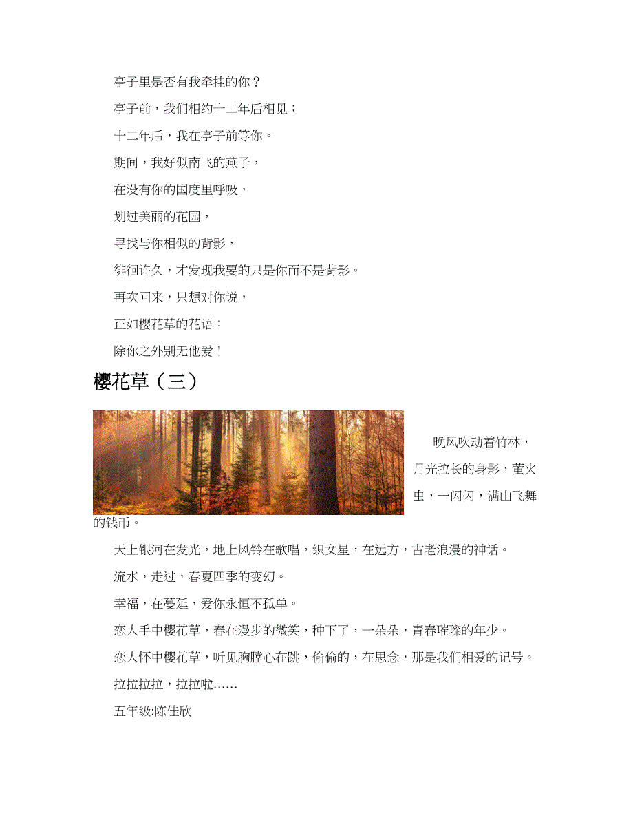 樱花草(共10篇).docx_第4页