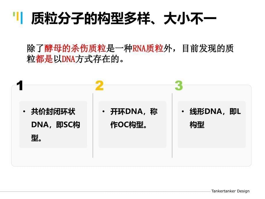 让质粒鲜活起来PPT课件_第5页