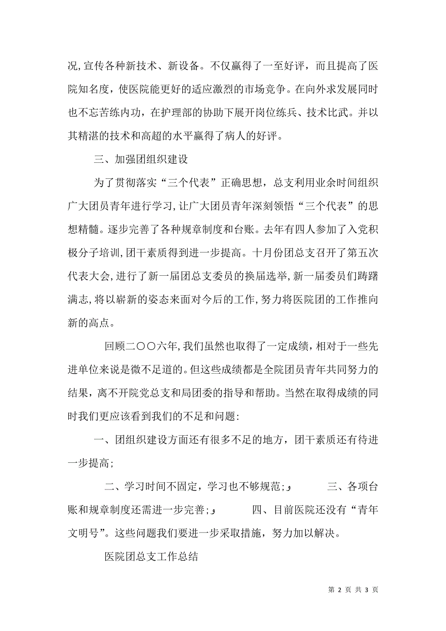 医院团总支工作总结_第2页