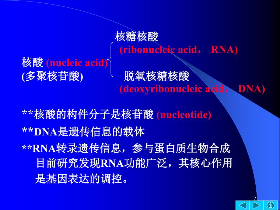 第三章核酸的结构与功能_第2页