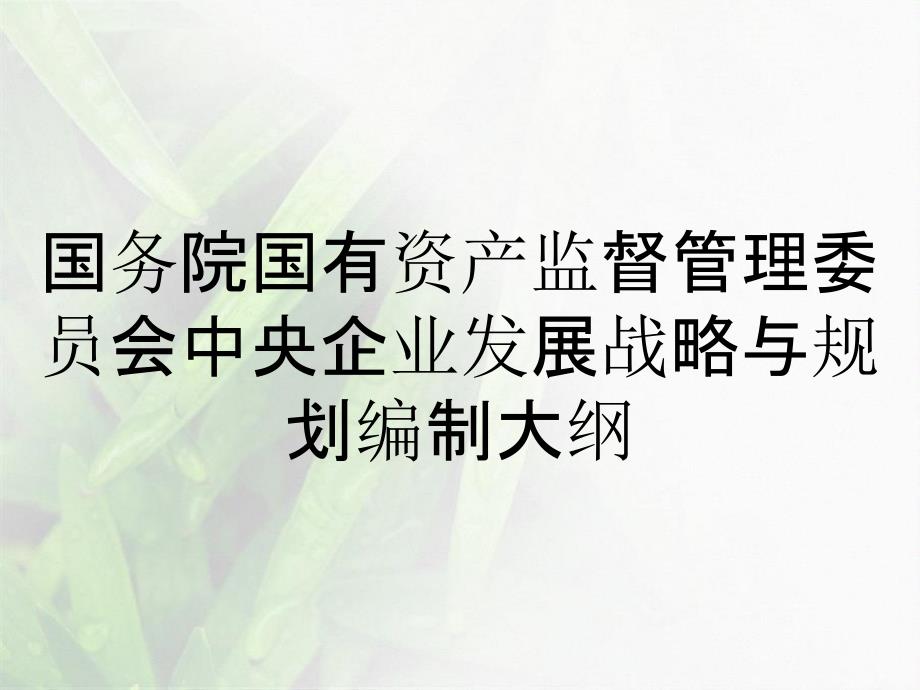 国务院国有资产监督管理委员会中央企业发展战略与规划编制大纲_第1页