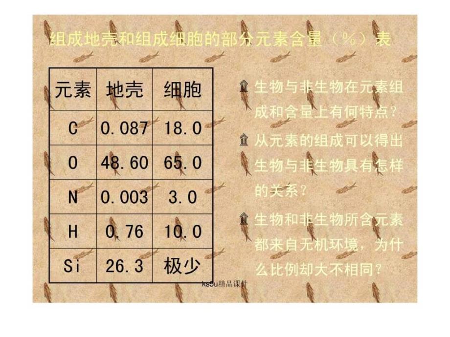 必修1细胞的化学组成中图版ks5u高考资源网29_第2页