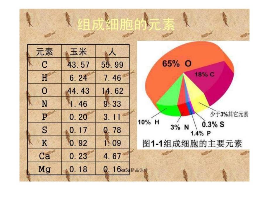 必修1细胞的化学组成中图版ks5u高考资源网29_第4页