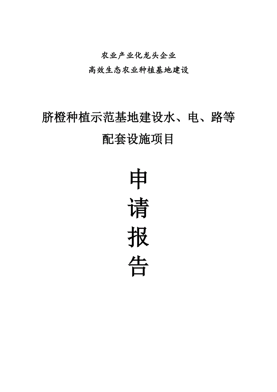 脐橙种植示范基地建设水、电、路等配套设施项目资金申请报告_第1页