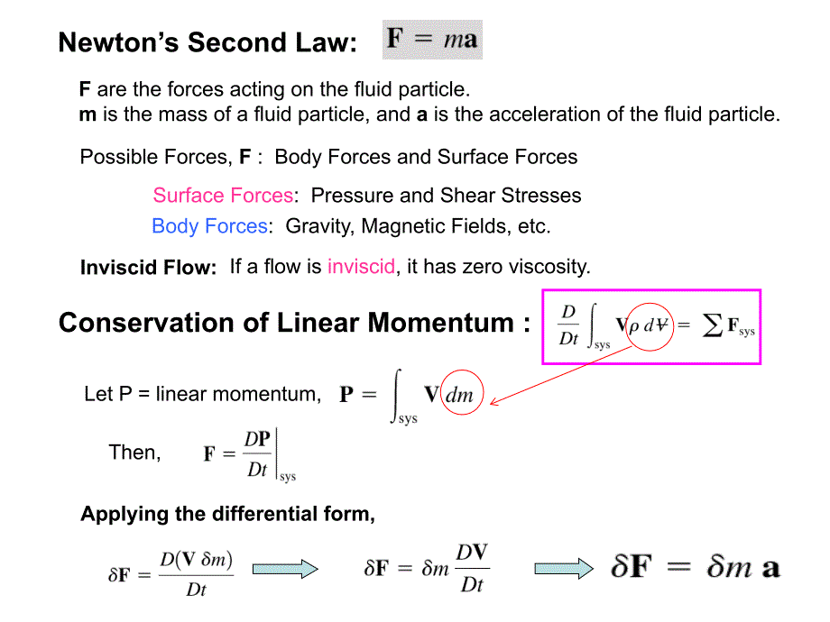 BernoullisEquation_第1页