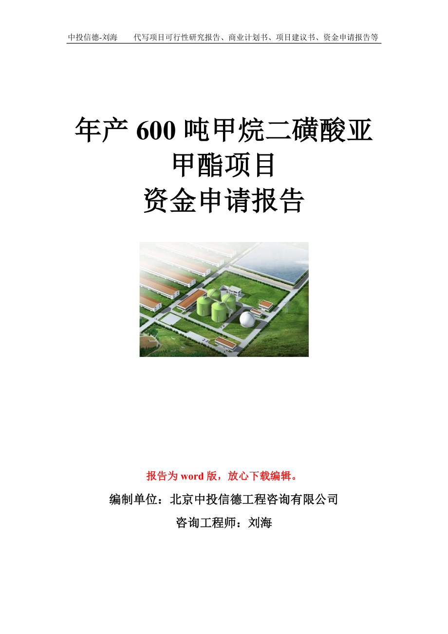 年产600吨甲烷二磺酸亚甲酯项目资金申请报告模板_第1页