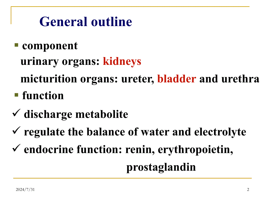 组胚学英文课件-泌尿系统英文课件Urinary-system_第2页