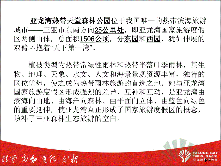 热带天堂森林公园课件_第2页