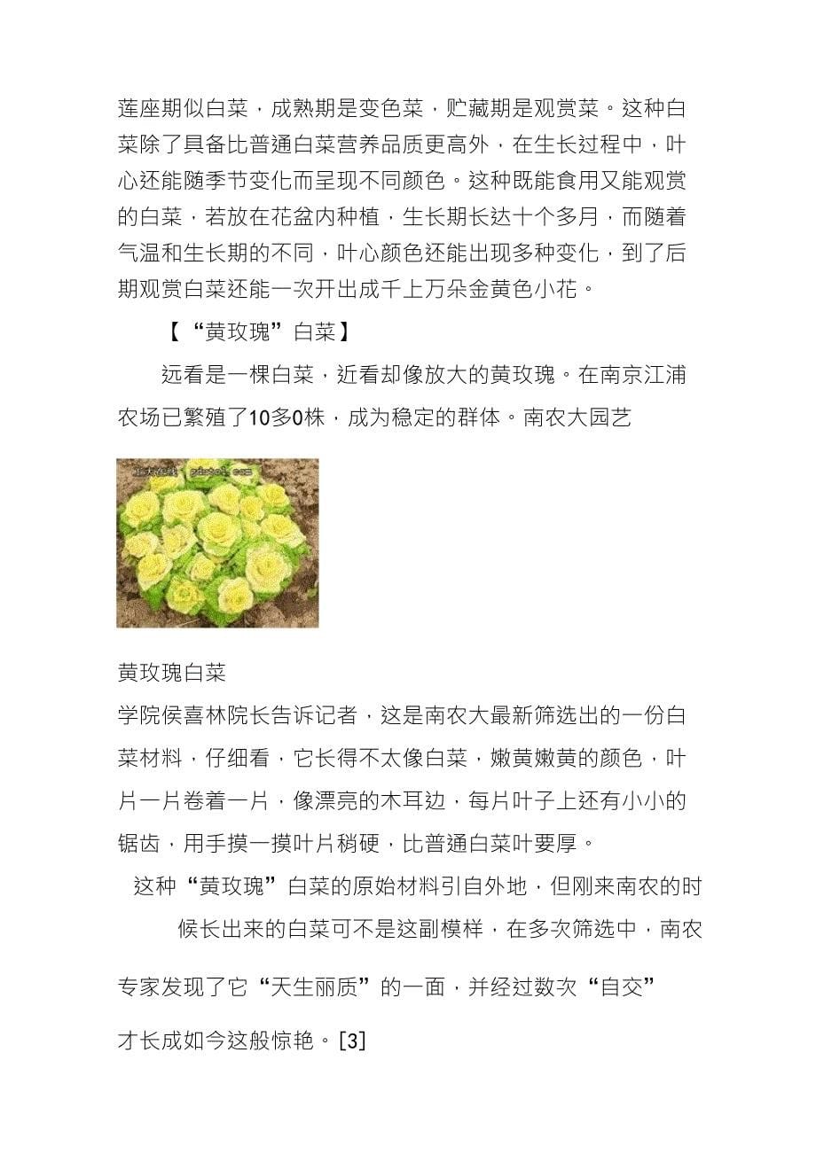 大白菜类型与品种_第5页