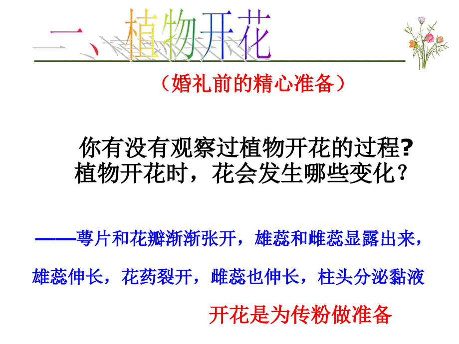 植物生殖方式的多样性.ppt_第4页