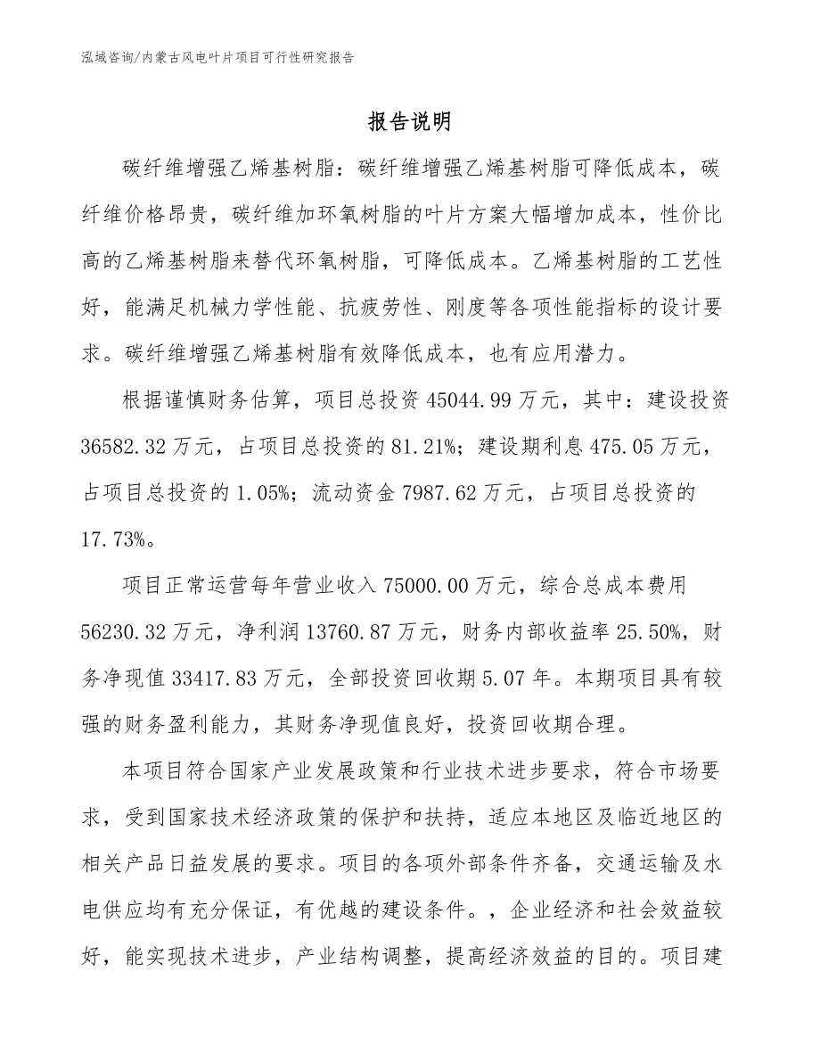 内蒙古风电叶片项目可行性研究报告_第2页