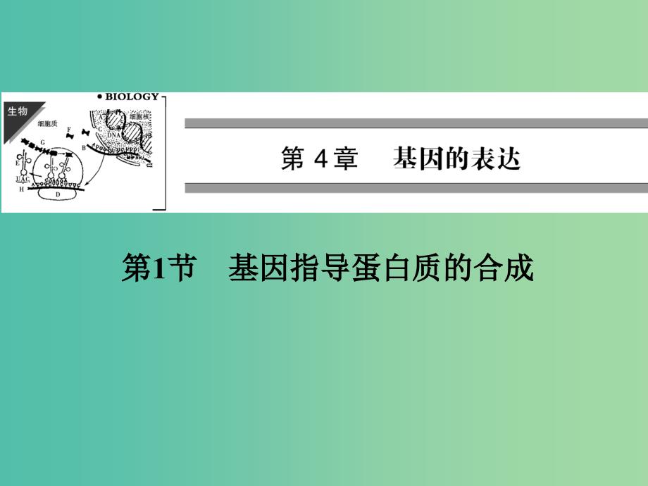 高中生物 4.1基因指导蛋白质的合成课件 新人教版必修2.ppt_第1页