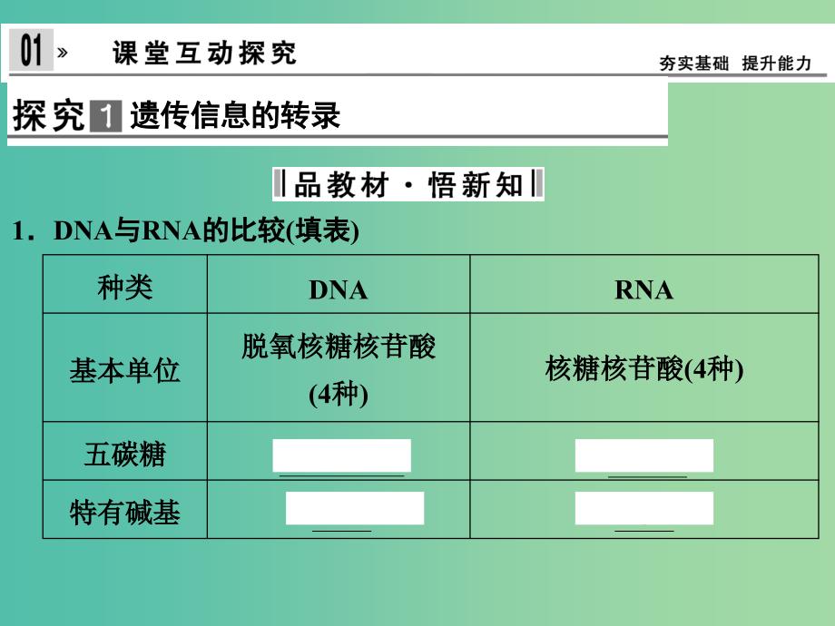 高中生物 4.1基因指导蛋白质的合成课件 新人教版必修2.ppt_第3页