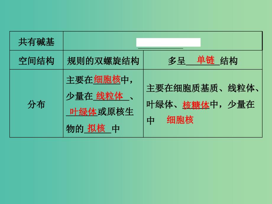 高中生物 4.1基因指导蛋白质的合成课件 新人教版必修2.ppt_第4页