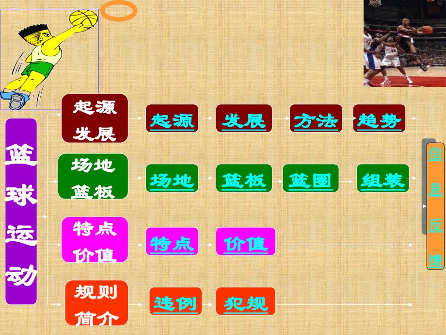 初中体育课件《篮球运动基础知识》共16张PPT_第3页